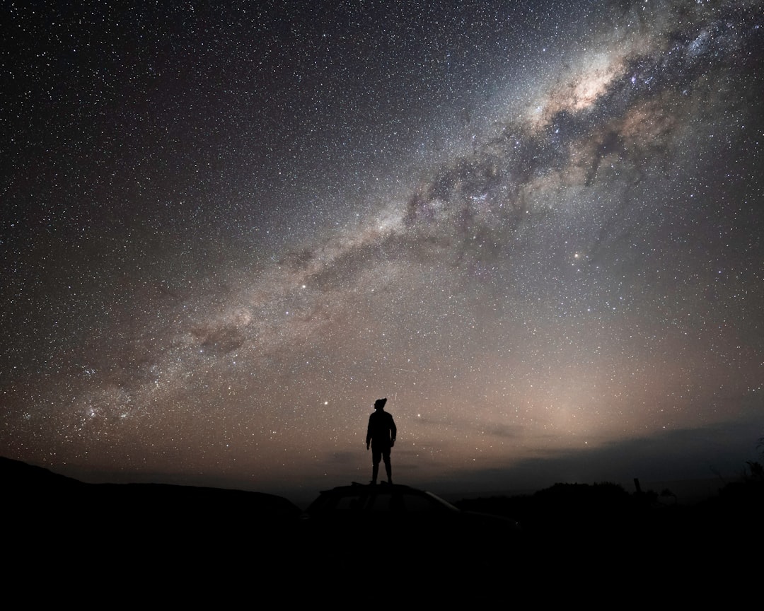 Via Lactea com silhueta de arvore em primeiro plano em area rural brasileira