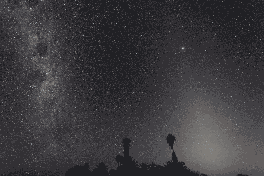 Céu noturno estrelado sobre paisagem com silhuetas de palmeiras, ilustrando a observação astronômica nas civilizações maia e egípcia.