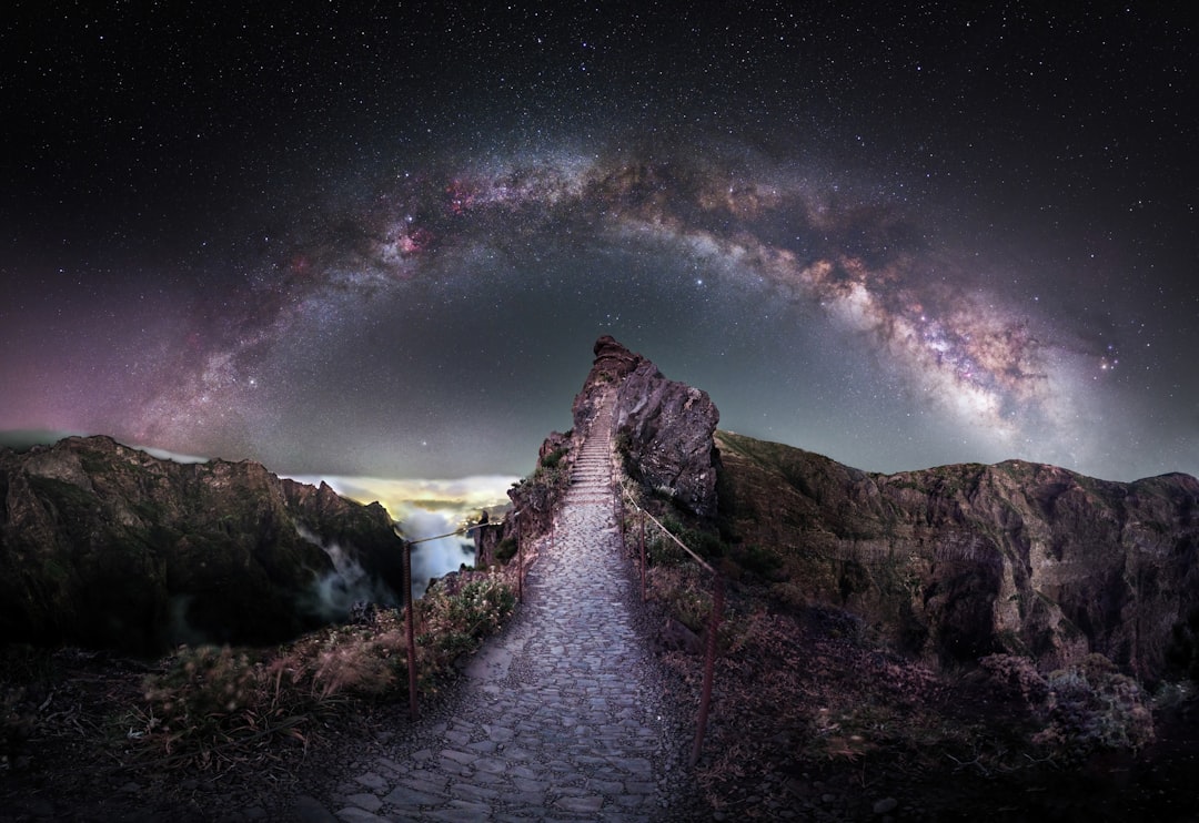 Via Láctea fotografada sobre paisagem com árvores no primeiro plano
