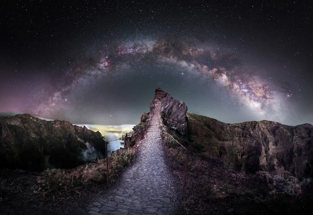 Via Láctea fotografada sobre paisagem com árvores no primeiro plano